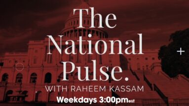 The National Pulse w/ Raheem Kassam 12.1.20.