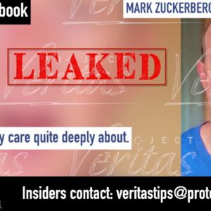 FACEBOOK INSIDER LEAKS: Zuckerberg & Execs Admit Excessive Power