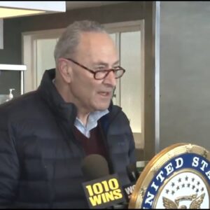 Schumer Publicly Blames Texas For Crisis Saying The State Built System That "Ignored Climate Change"