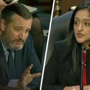 Ted Cruz Brutally OWNS Biden’s DOJ Nominee So Bad That You Almost Feel Sorry for Her
