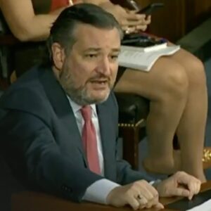 Ted Cruz OBLITERATES Push for Gun Control After Boulder Shooting