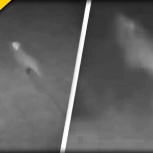 WATCH THIS! Woman Claims to See "Baby Dino" Run Through her Yard - What do You See?