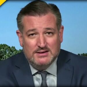 EPIC! Ted Cruz Goes into FULL Defense Mode after liberals Attack Tim Scott