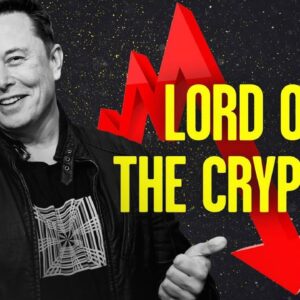 Elon’s Crypto Games & Their Effect on the Environment | Stu Does America