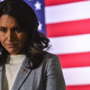oan poll finds over 60 of people want tulsi gabbard to replace gavin newsom as governor of calif