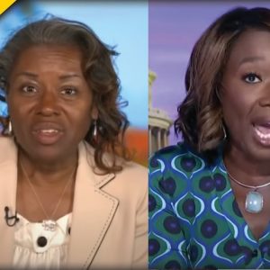 Joy Reid Says Republicans Won Because Of Racism, Winsome Sears Sets Her Straight