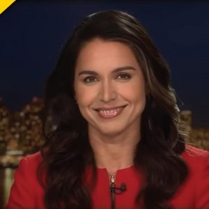 Tulsi Gabbard Just Told Fellow Democrats These 5 Words to Stop the Hate