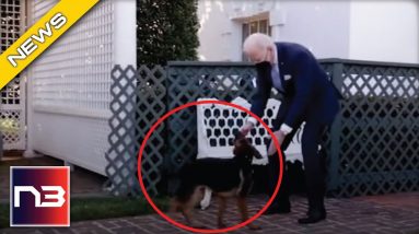Biden Tries To Distract From Failures By Using A Puppy