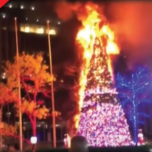 Crazy Man Burns FOX Christmas Tree in NYC