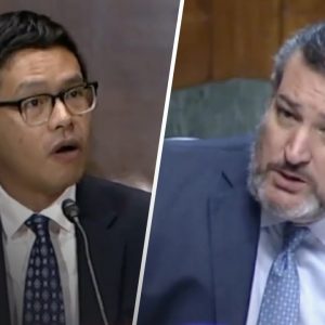 Ted Cruz BRUTALLY Exposes Biden Judicial Nominee's Past Comments