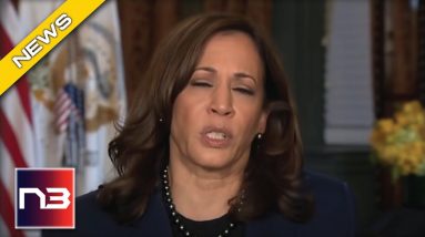 Dem's Vision For America Revealed By Kamala And It's ILLEGAL