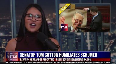 Senator Tom Cotton Humiliates Schumer With His Own Words