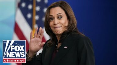 'Kamala Harris' political career is over': Leo Terrell