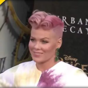 Pink DECLARES Which Americans Can’t Listen To Her Music, Look Who Made The List