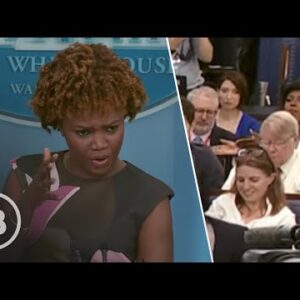 Chaos Erupts When African Reporter Accuses Press Sec. of Being Racist