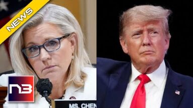 Trust Me, this New Poll will Have You BEGGING Liz Cheney to Run for President in 2024