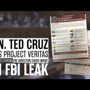 BREAKING: Sen Ted Cruz Cites Project Veritas FBI Leak When Questioning FBI Director Christopher Wray