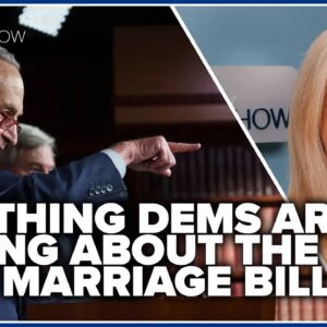 BIG thing Dems are hiding about the gay marriage bill