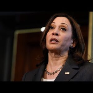 ‘Border isn’t secure’: Democrat congressman disagrees with Kamala Harris