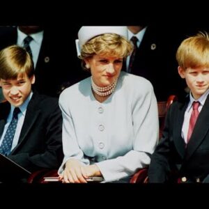 Princess Diana would’ve been the ‘perfect broker’ for Harry and William