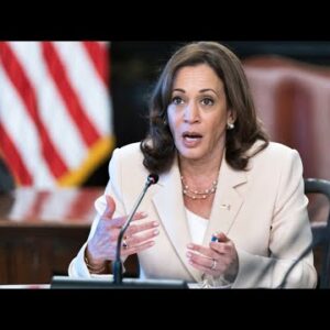 Kamala Harris makes satirical show Veep a 'reality'