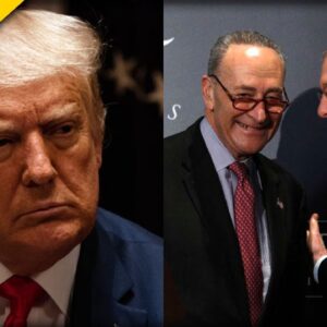 MAGA Purge Begins As Top Swampers Schumer and McConnell Join Forces To Crush The Will of The People