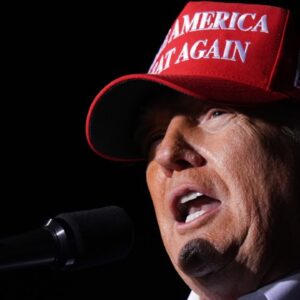 Russia wouldn't have 'attacked the Ukraine' if Trump was president: Meister