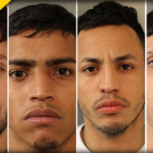 Chaos Breaks Out The Second These Illegals Step Foot in NYC