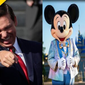 The Florida Plan To Seize Walt Disney World - Find Out More Here!