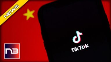 New Data Shows what Americans REALLY Think Should Happen to TikTok