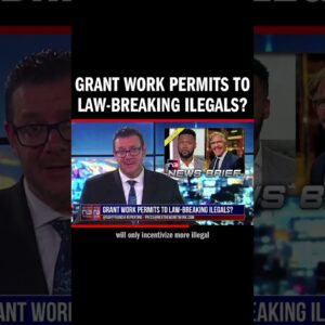 Grant Work Permits to Law-Breaking Ilegals?