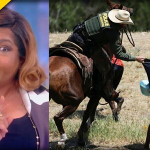 Facts Ignored: April Ryan's Persistent Falsehoods Over Whipping Claims Triggers Mayorkas