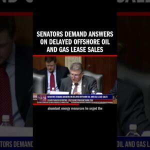 Senators demand answers on delayed offshore oil and gas lease sales