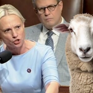 Victoria Spartz DESTROYS Democrat 'Sheep'