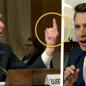 VIRAL: Josh Hawley DECIMATES Alejandro Mayorkas