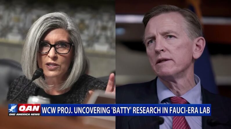 republicans demand nih halt funding for dr faucis bat lab in colorado